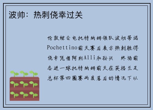 波帅：热刺侥幸过关